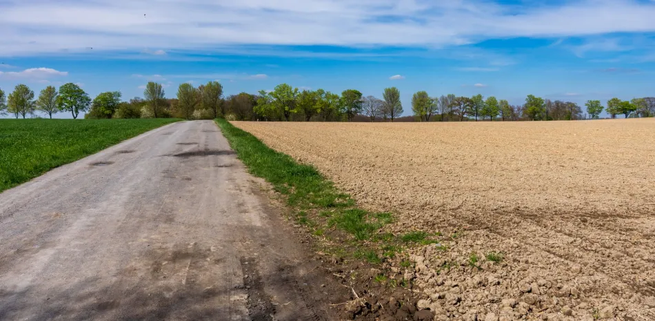 land clearing solutions georgia land clearing solutions georgia
